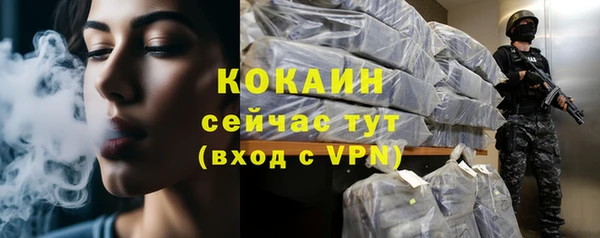 стафф Арсеньев
