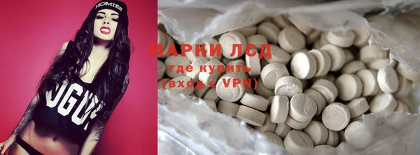 стафф Арсеньев