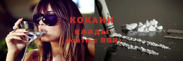стафф Арсеньев