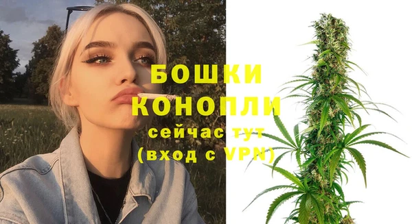PSILOCYBIN Михайлов