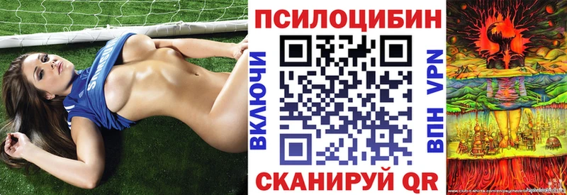 Галлюциногенные грибы мухоморы  Сясьстрой 